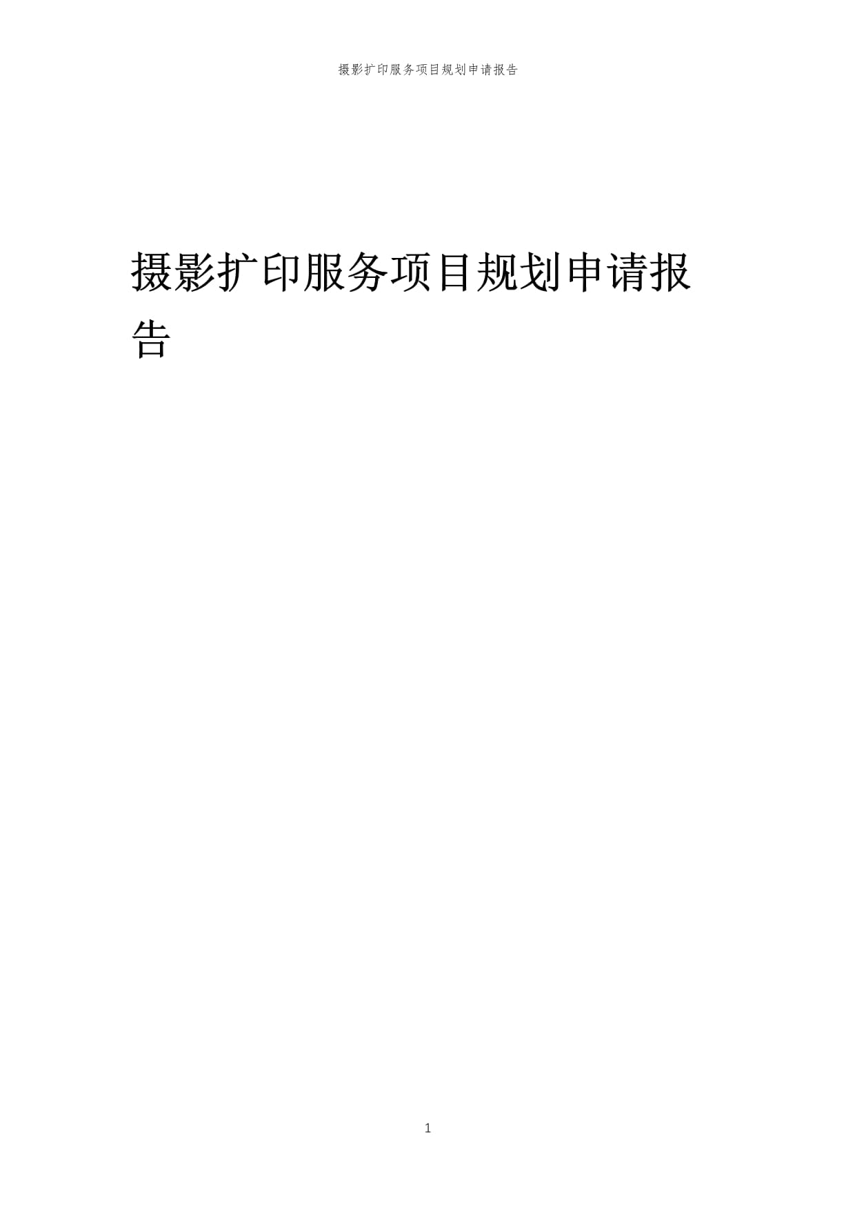 2024年摄影扩印服务项目规划申请报告样文